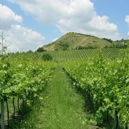 Sleeps 12 With Pool And Wifi * Brisighella
