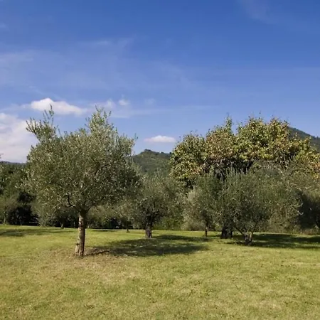 Sleeps 12 With Pool And Wifi Vila *